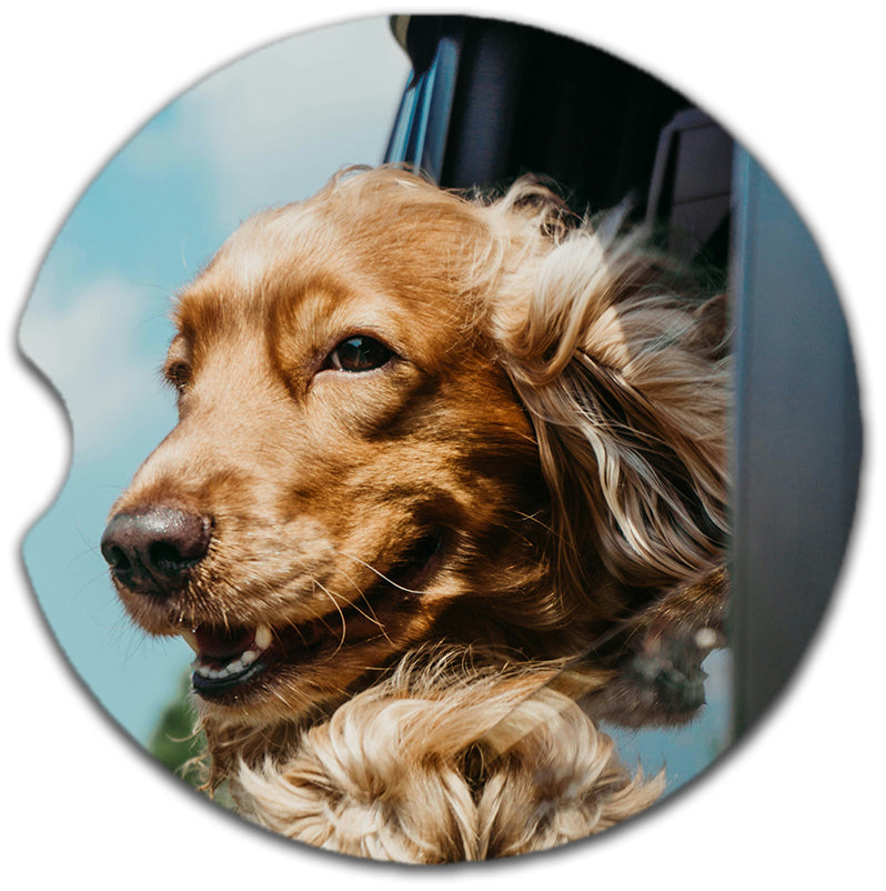 Ceramic Car Coaster (2-pack) Instafreshener - Coasters