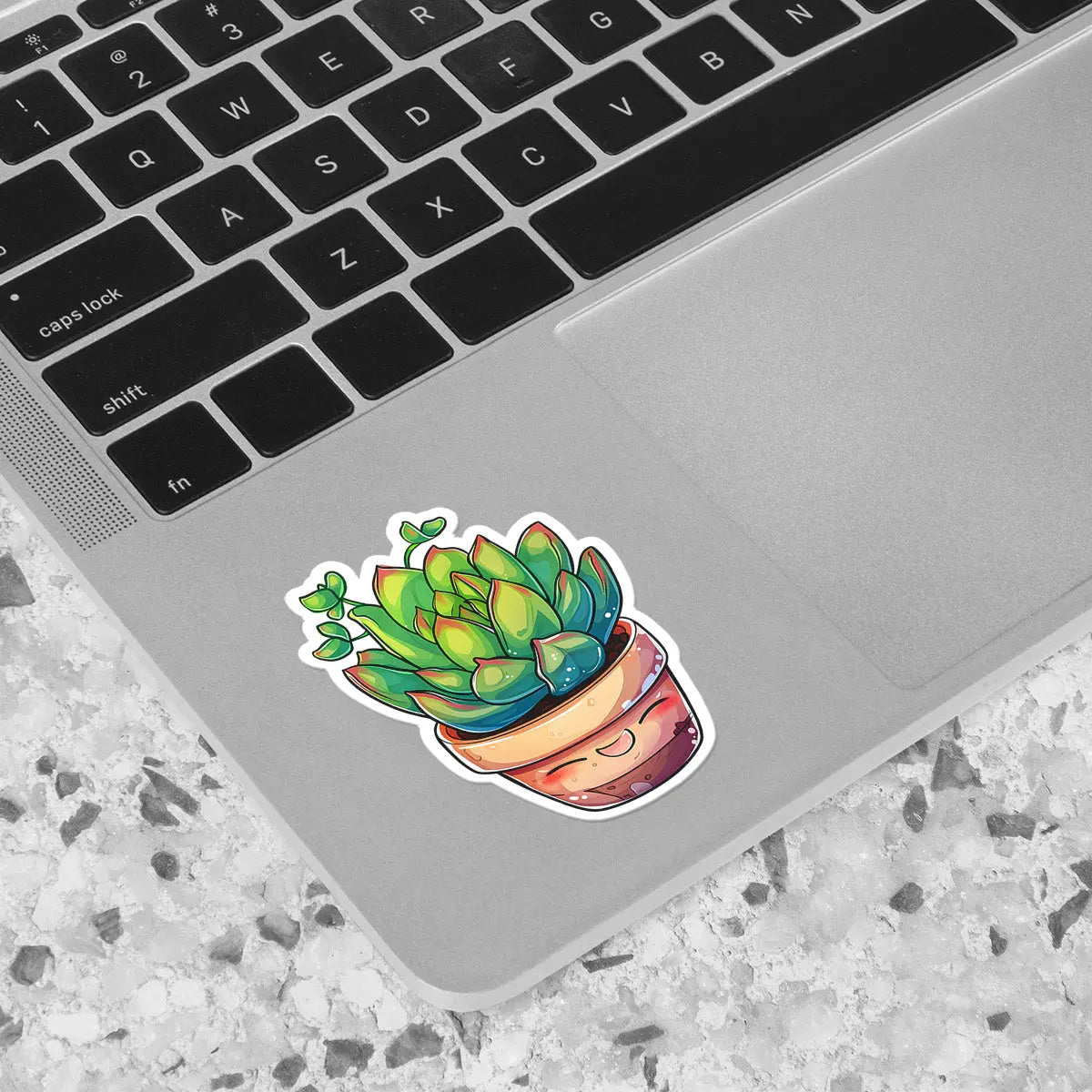 Cute Succulent Plant Sticker