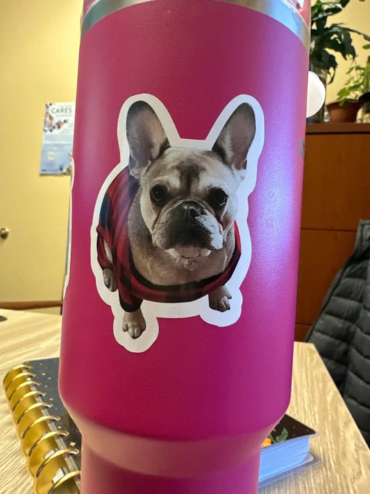 Custom Kiss Cut Stickers Instafreshener - Stickers