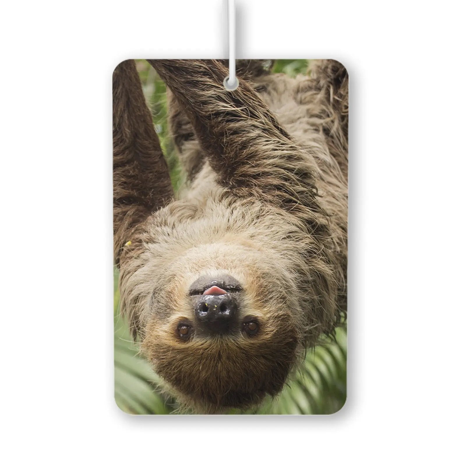 23 Air Freshener