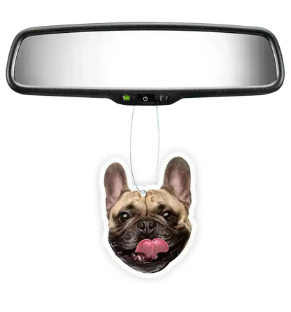 Custom Air Freshener - Terrell Owens X Instafreshener