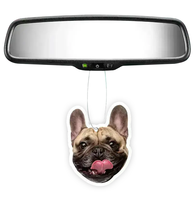 Custom Air Freshener - Terrell Owens X Instafreshener