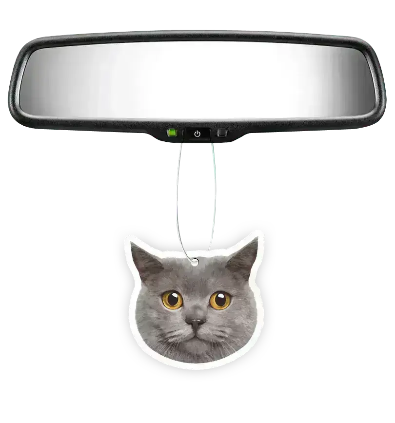 Custom Air Freshener - Terrell Owens X Instafreshener