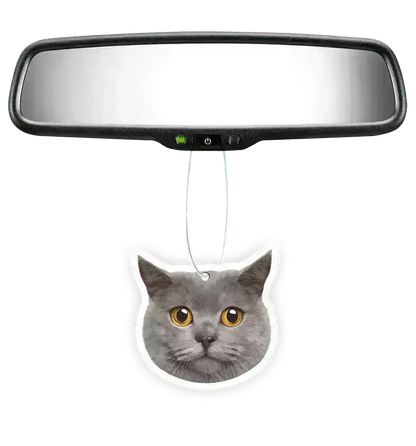 Custom Air Freshener - Terrell Owens X Instafreshener