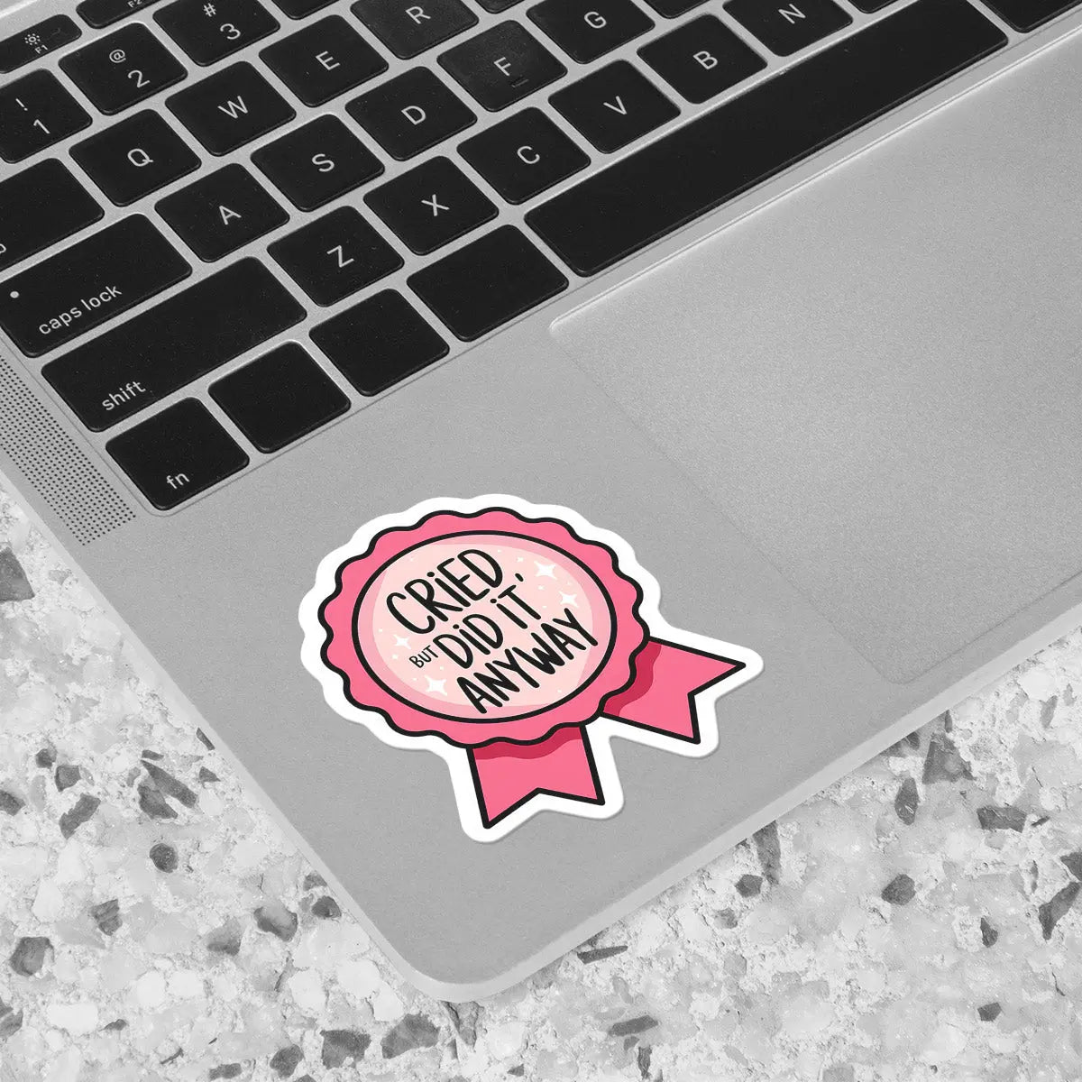 Cried but Did It Anyway Sticker