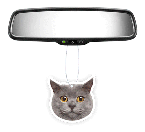 Custom Shape Air Freshener Instafreshener