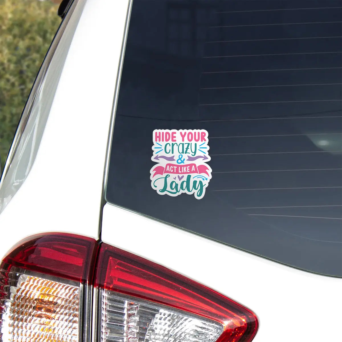 Hide Your Crazy & Act Like A Lady Sticker